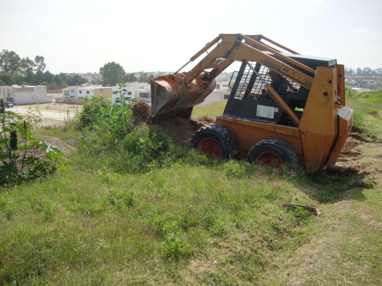 IMG-20250720-WA0005