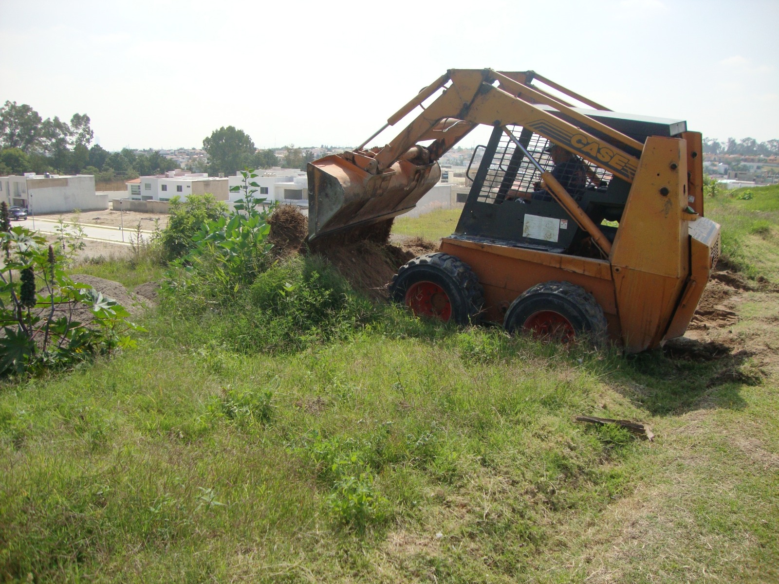IMG-20250720-WA0005